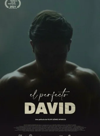Идеальный Давид